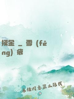 摸金記