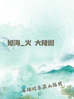 撼海