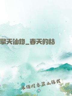 擎天仙路