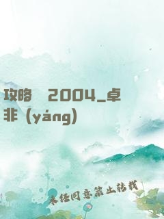 攻略華娛2004