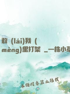 敢來(lái)我夢(mèng)里打架嗎