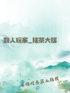 散人玩家