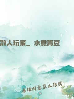 散人玩家