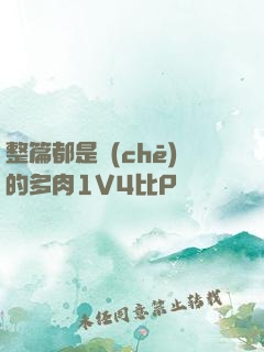 整篇都是車(chē)的多肉1V4比P