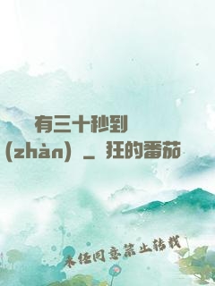 敵軍還有三十秒到達戰(zhàn)場