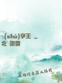 數(shù)字王國