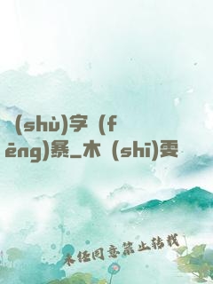數(shù)字風(fēng)暴