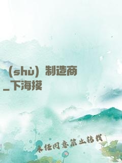 數(shù)碼制造商