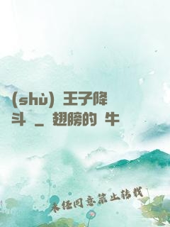 數(shù)碼王子降臨斗羅