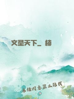 文圣天下