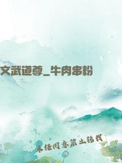 文武道尊