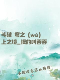 斗破蒼穹之無(wú)上之境