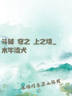 斗破蒼穹之無上之境