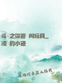 斗羅之你管這叫玩具