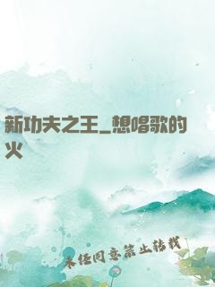 新功夫之王