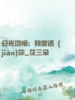 日光微暖：我曾遇見(jiàn)你