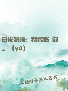 日光微暖：我曾遇見你