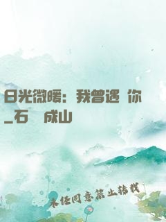 日光微暖：我曾遇見你