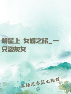 明星上門女婿之旅
