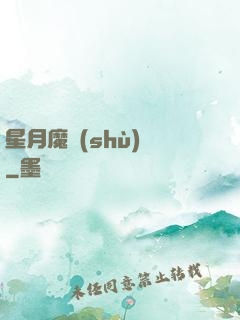 星月魔術(shù)師