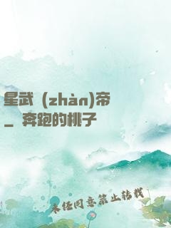 星武戰(zhàn)帝