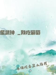 星武神訣