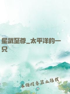 星武至尊