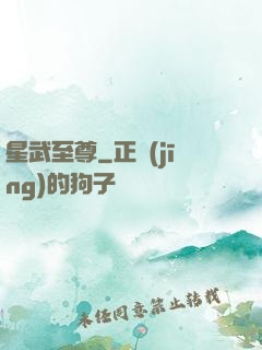 星武至尊