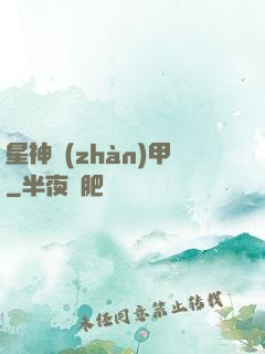 星神戰(zhàn)甲