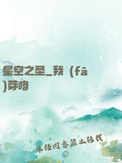 星空之圣