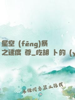 星空風(fēng)暴之速度為尊