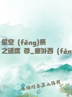 星空風(fēng)暴之速度為尊