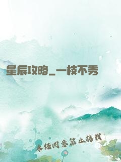 星辰攻略