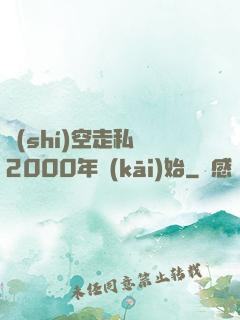 時(shí)空走私從2000年開(kāi)始