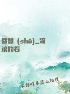 智慧書(shū)