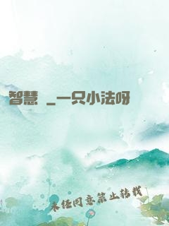 智慧書
