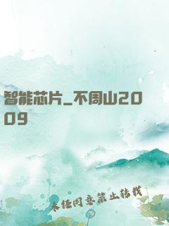 智能芯片