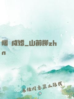 暖愛成婚