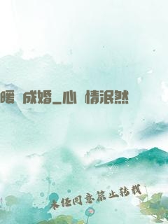 暖愛成婚
