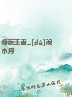 暗夜王者