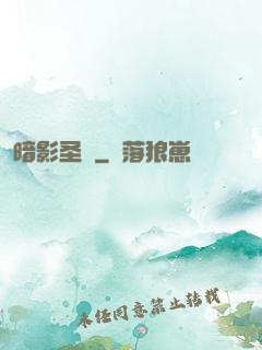 暗影圣賢