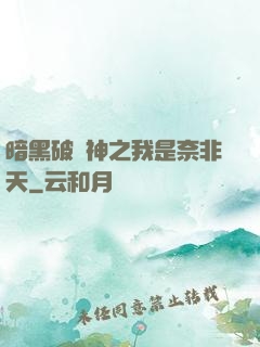 暗黑破壞神之我是奈非天