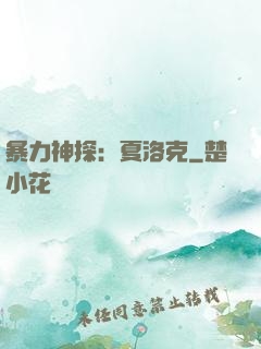 暴力神探：夏洛克