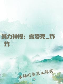 暴力神探：夏洛克
