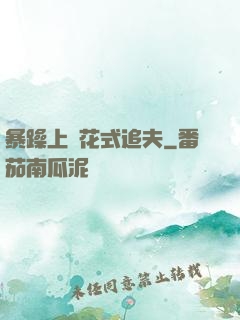 暴躁上將花式追夫
