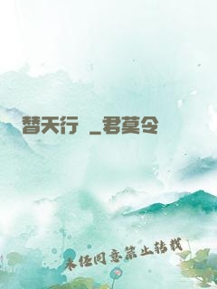 替天行盜