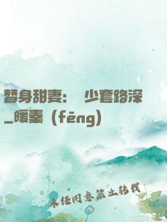 替身甜妻：韓少套路深