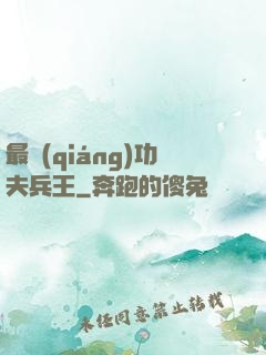 最強(qiáng)功夫兵王