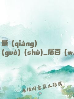 最強(qiáng)國(guó)術(shù)
