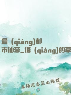 最強(qiáng)都市仙帝